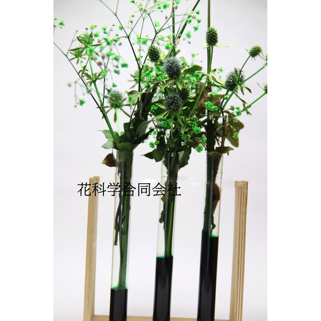 プリザーブドフラワー吸上げ液 【葉物（リーフ）・小花専用】 SF-M液